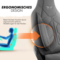 Sitzbez&uuml;ge passend f&uuml;r Peugeot 4007 in Grau Pilot 1.4